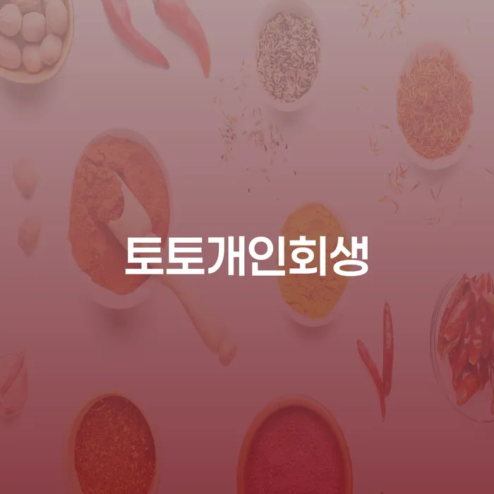 2024년 개인회생 개인회생으로 해결 해결하는 방법