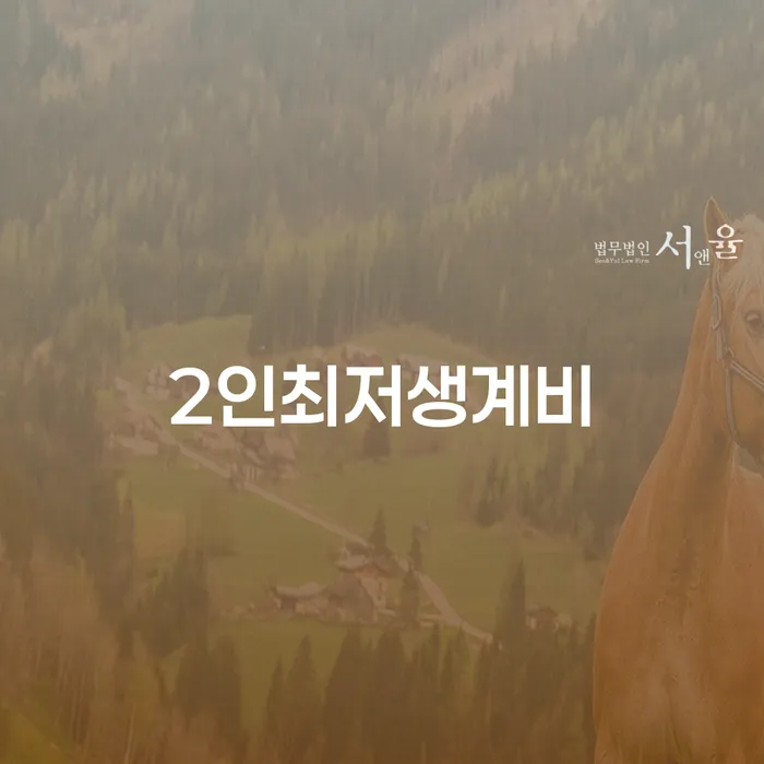 개인회생배우자재산 개인회생 처리방법 진행방안