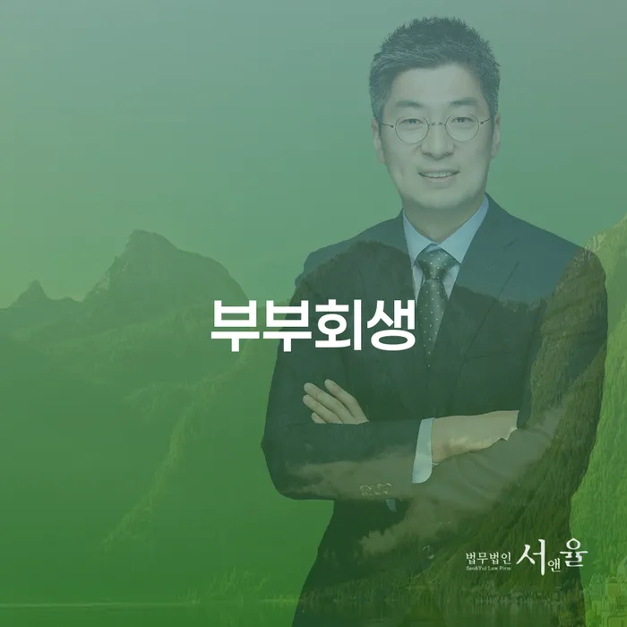 카드값 넉달 연체 개인회생으로 해결 관련