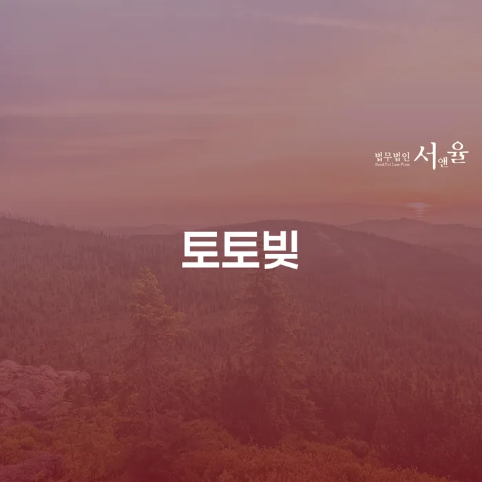 파산신청변호사 채무 효과적인 해결방법 잘 하는 법무법인