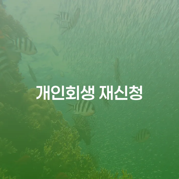 구리시 개인회생파산비용 개인회생 제도 경험 많은 곳에서