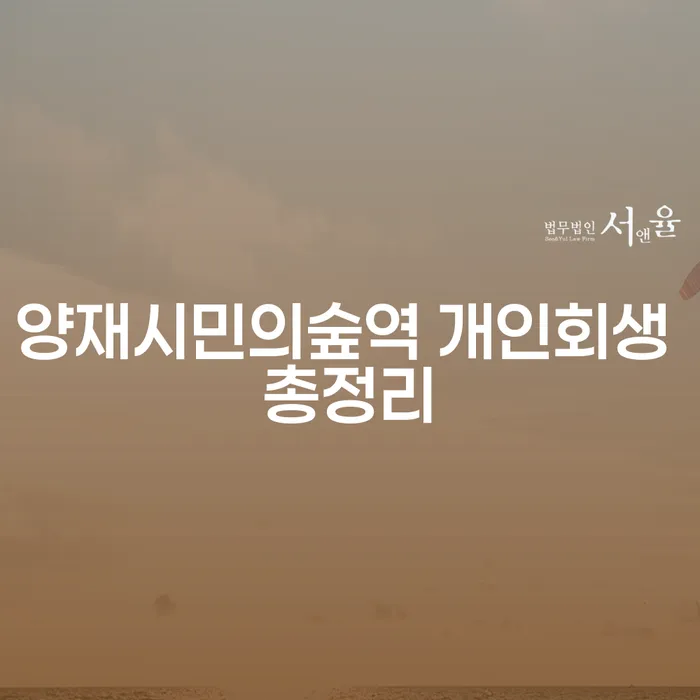 양재시민의숲역 개인회생 총정리