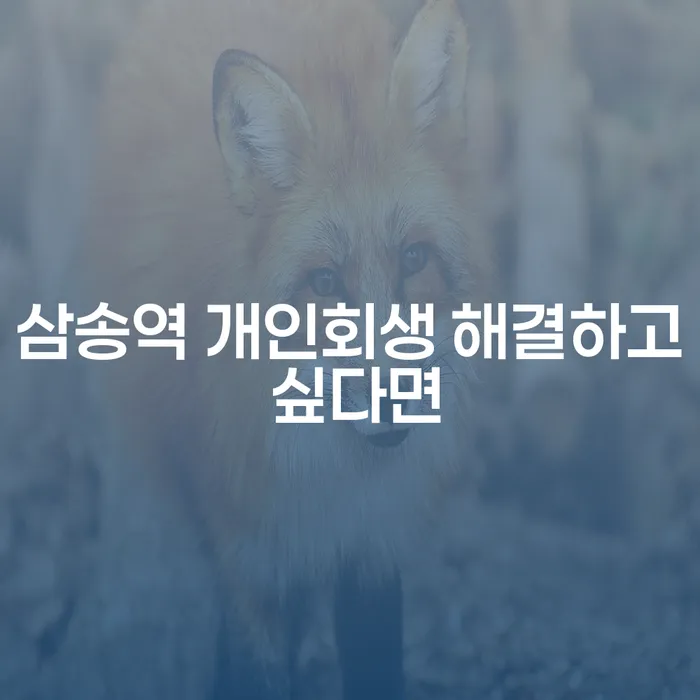 삼송역 개인회생 해결하고 싶다면