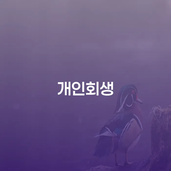 동구 개인회생, 지금 바로 알아봐야 할 이유는 무엇일까요?