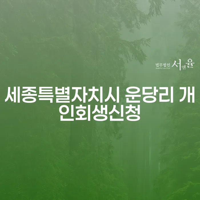 세종특별자치시 운당리 개인회생신청, 어떻게 해야 할까요?